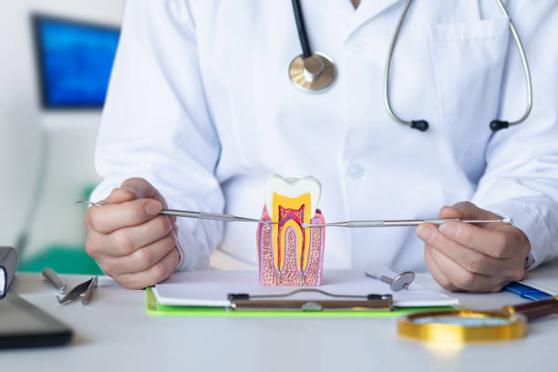 Best Emergency Treatment for Dental Infections or Abscesses in Calico Rock, AR